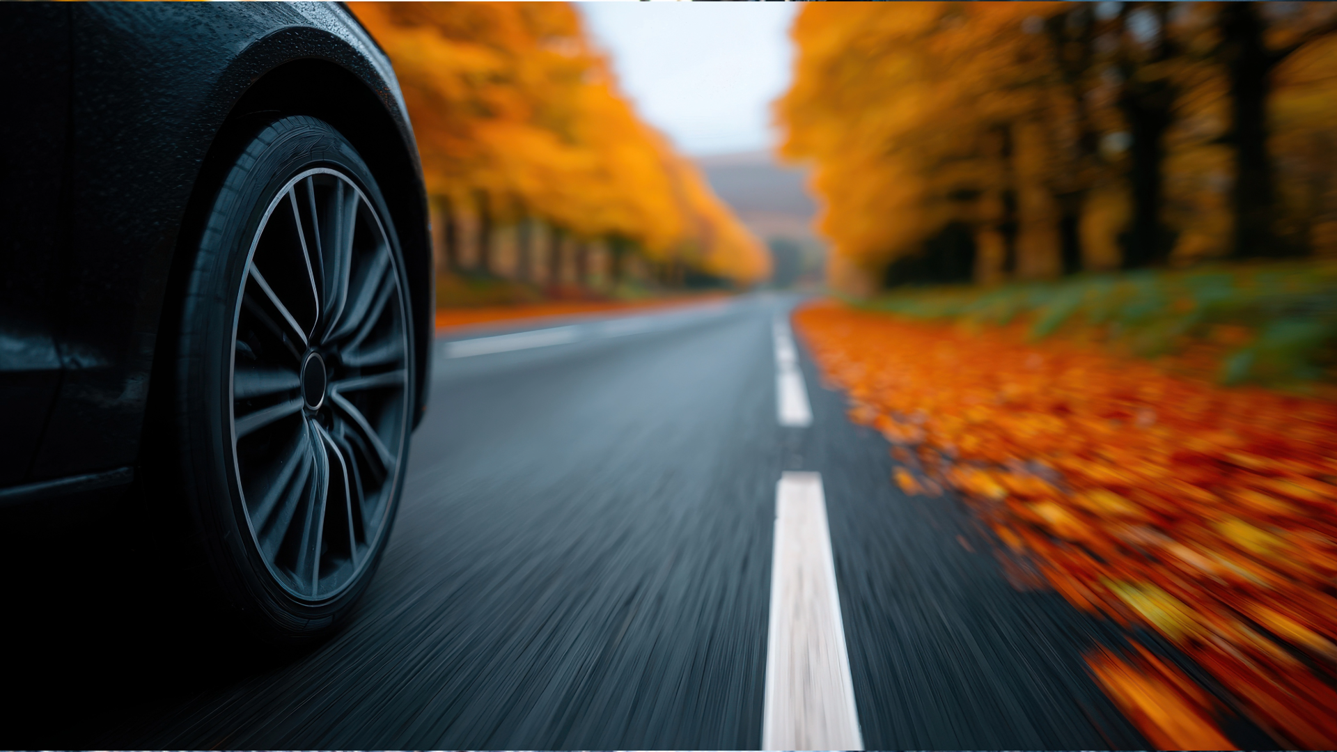 Seasonal eTracks Website Header 2